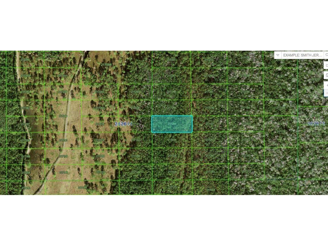 N/A Polk City FL 33868 O6228327 image1