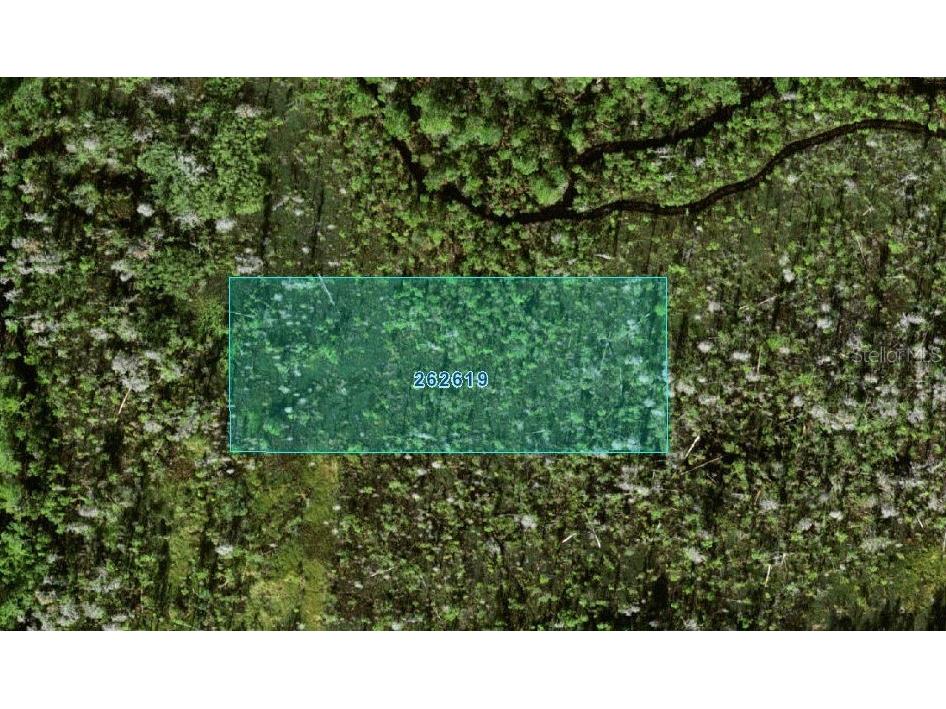 N/A Polk City FL 33868 O6235898 image3