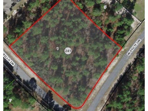 N Amarillo Drive Beverly Hills FL 34465 T3328610 image1