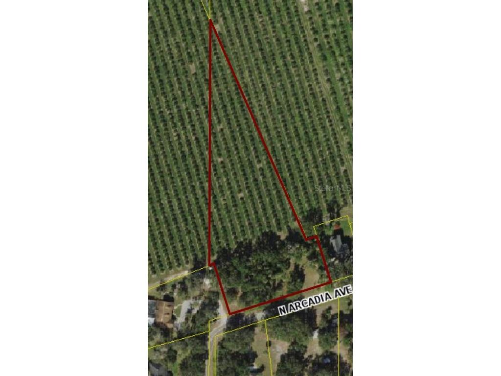 N Arcadia Avenue Arcadia FL 34266 C7457318 image1