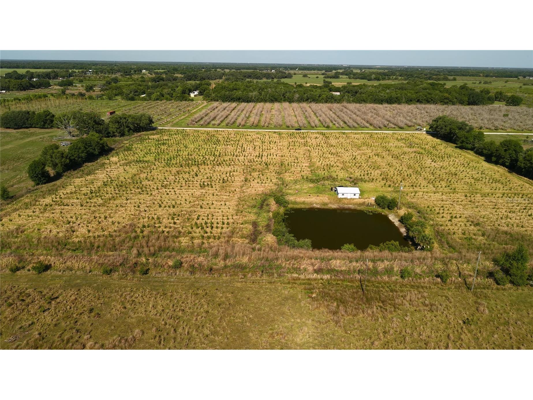 N Barlow Road Wauchula FL 33873 TB8496933 image13