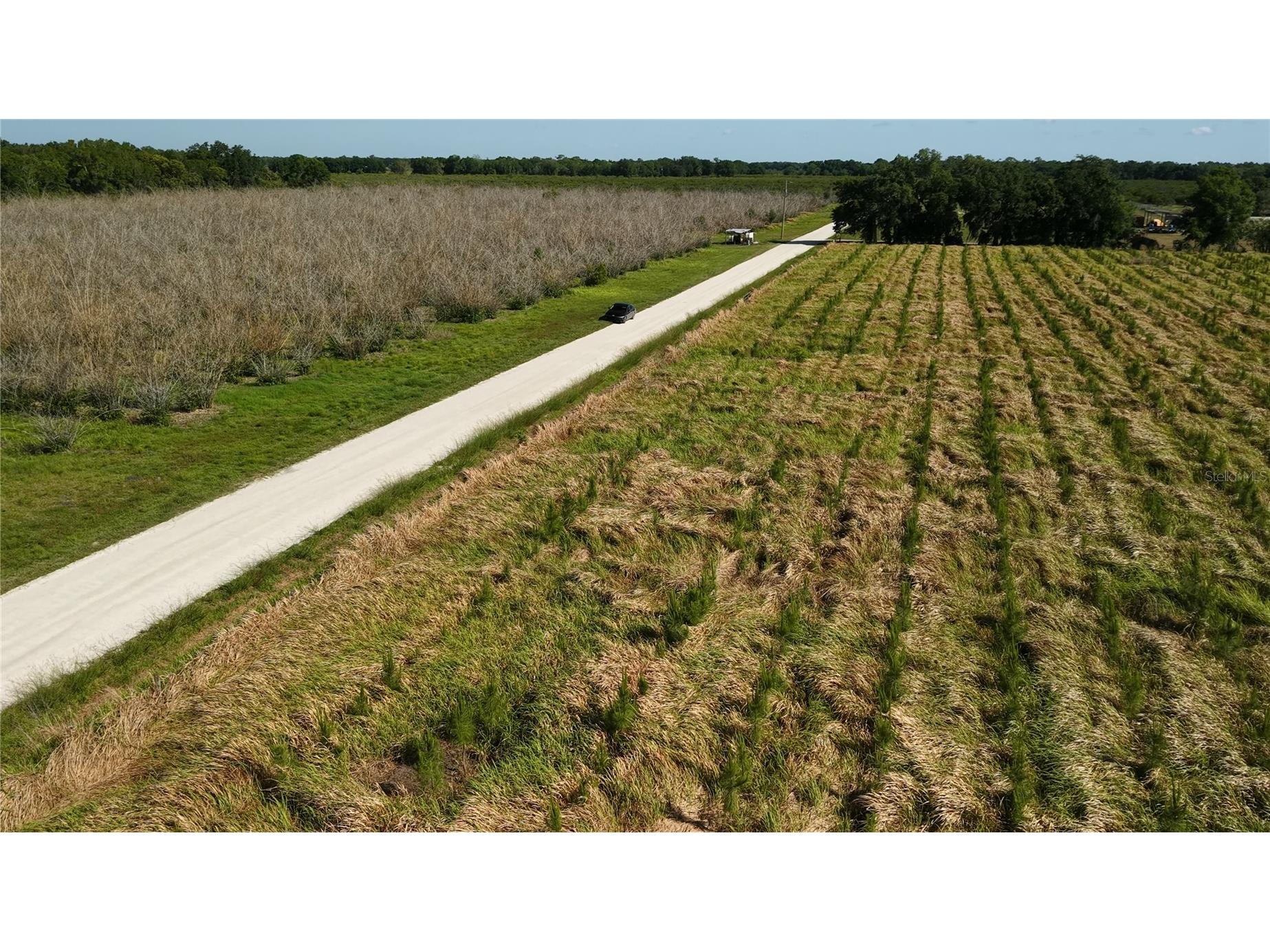 N Barlow Road Wauchula FL 33873 TB8496933 image38
