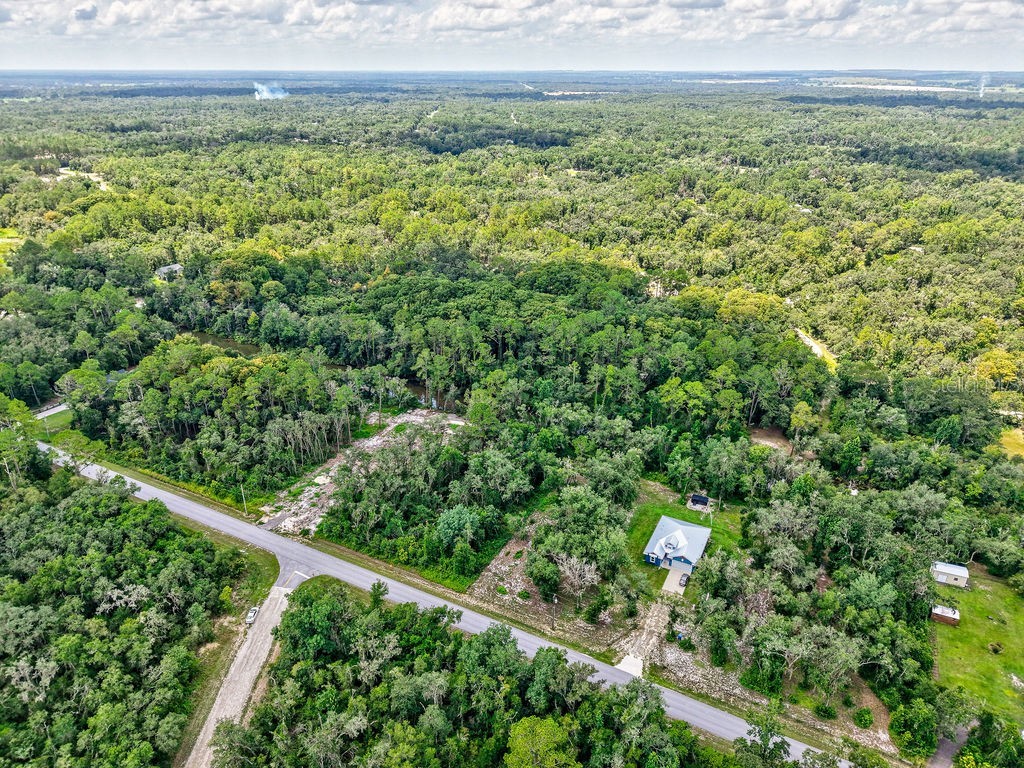 N Canal Street Webster FL 33597 TB8408863 image11