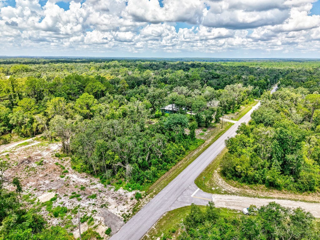 N Canal Street Webster FL 33597 TB8408863 image12