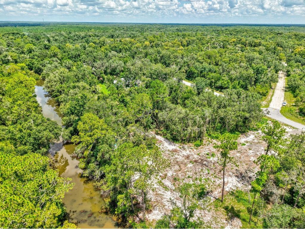 N Canal Street Webster FL 33597 TB8408863 image13