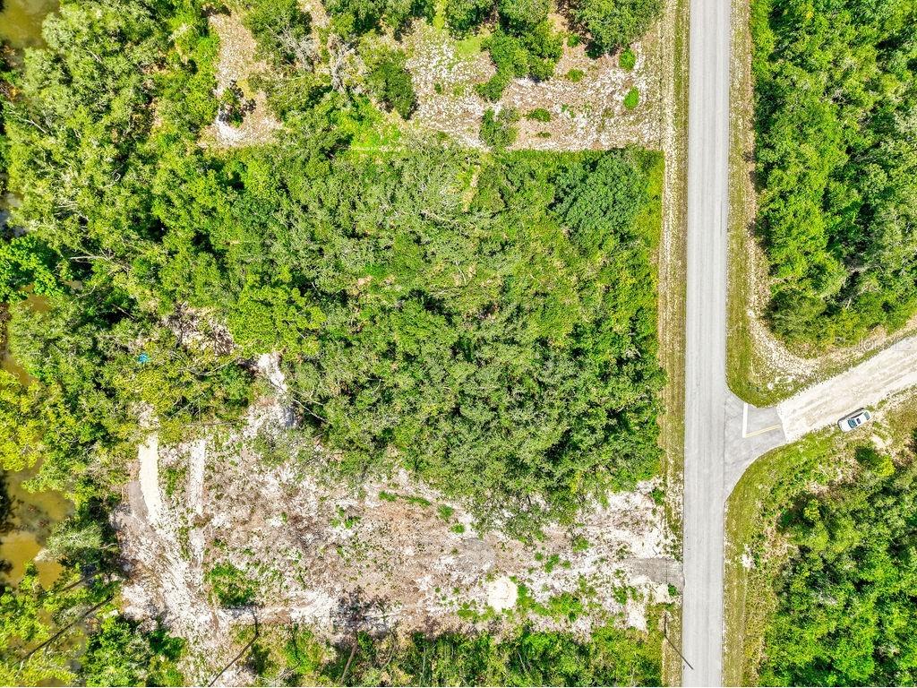 N Canal Street Webster FL 33597 TB8408863 image16