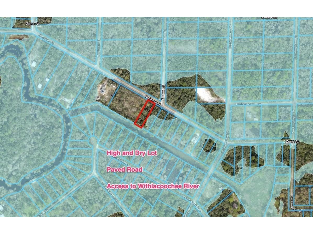 N Canal Street Webster FL 33597 TB8408863 image2