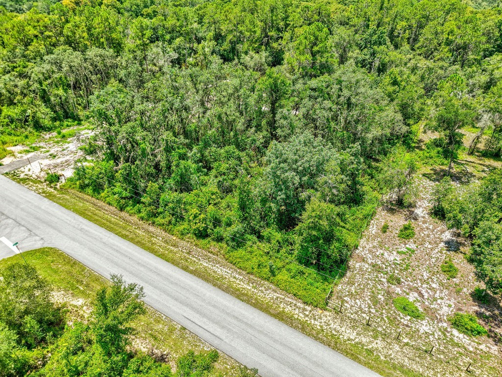 N Canal Street Webster FL 33597 TB8408863 image5