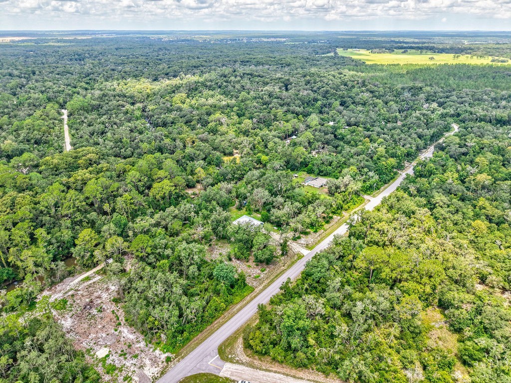 N Canal Street Webster FL 33597 TB8408863 image6