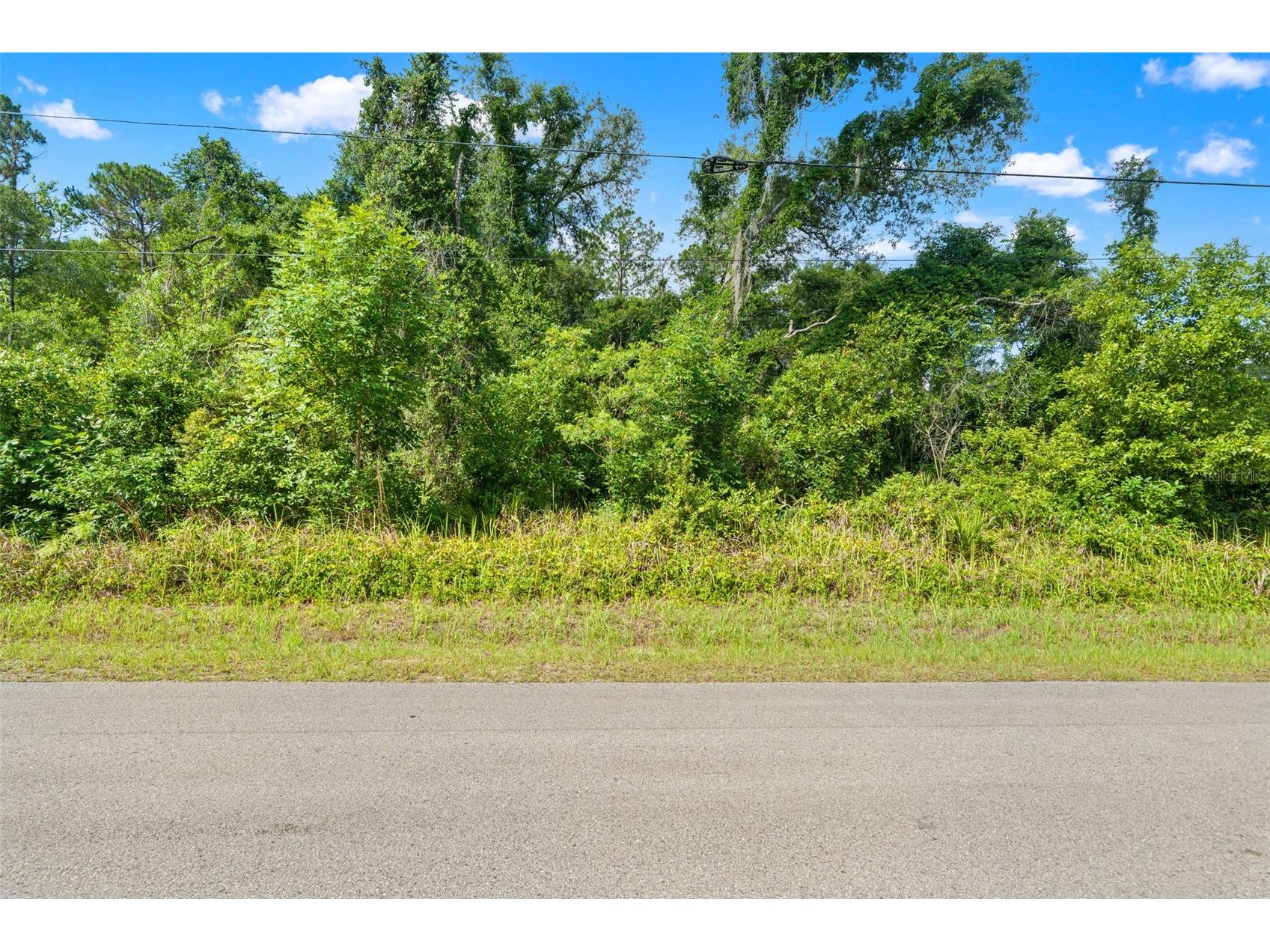 N Canal Street Webster FL 33597 TB8514313 image5