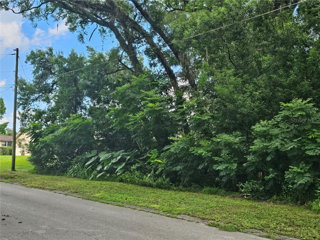 N Carpenter Avenue Orange City FL 32763 V4937988 image2