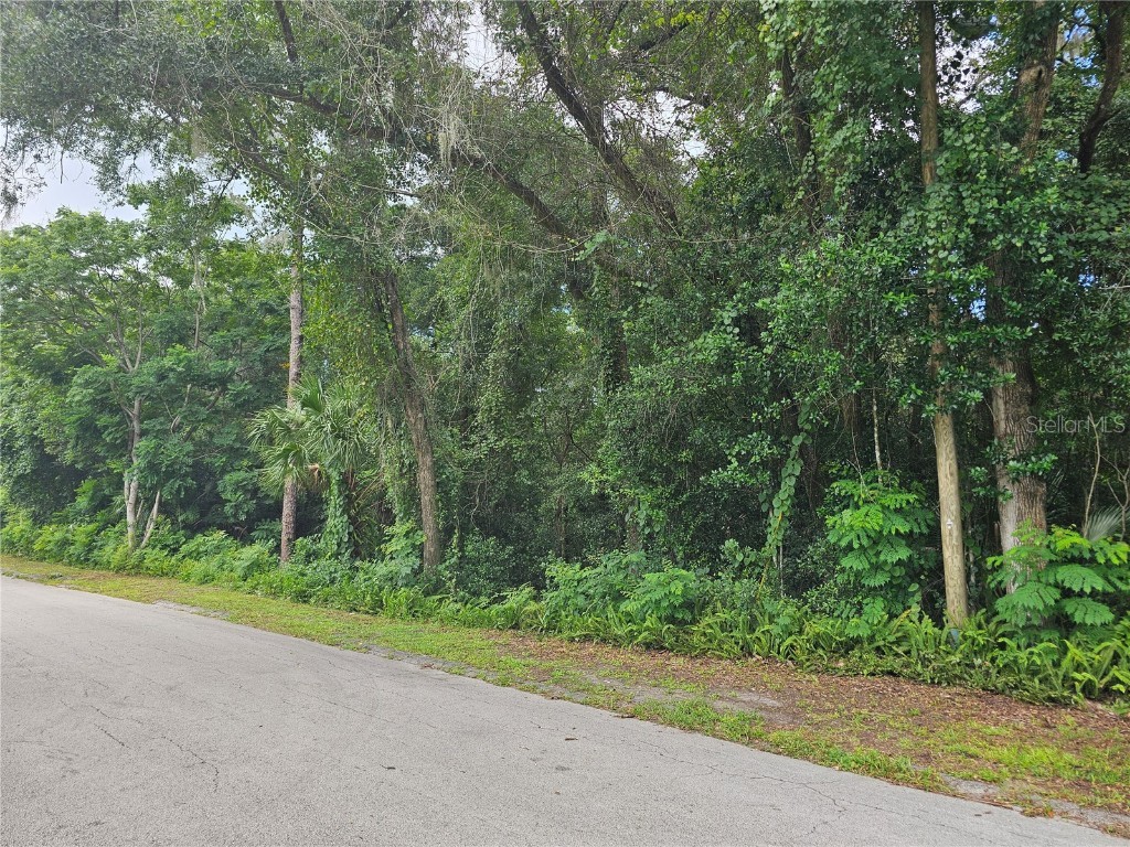 N Carpenter Avenue Orange City FL 32763 V4937988 image3