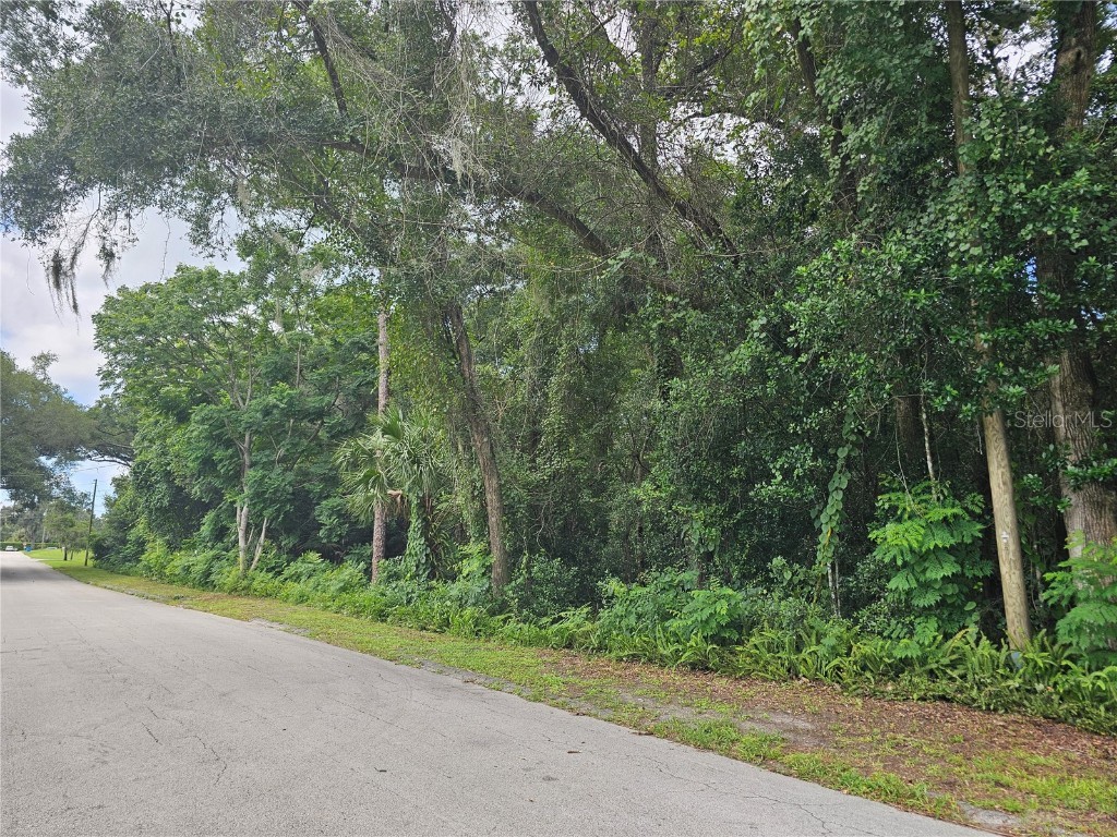 N Carpenter Avenue Orange City FL 32763 V4937988 image4