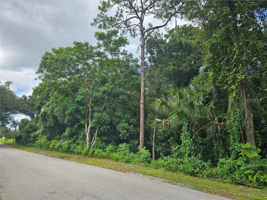 N Carpenter Avenue Orange City FL 32763 V4937988 image5