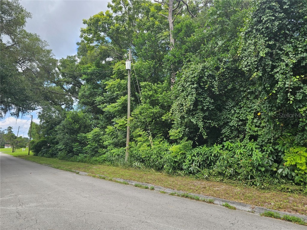 N Carpenter Avenue Orange City FL 32763 V4937988 image6