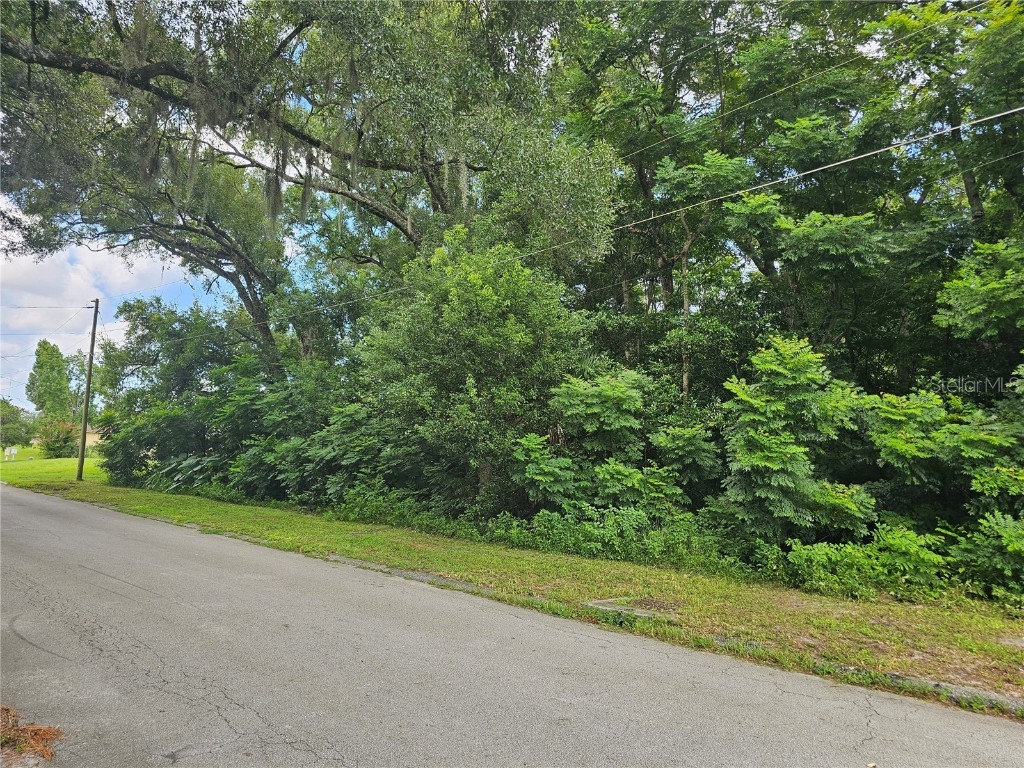 N Carpenter Avenue Orange City FL 32763 V4937988 image7