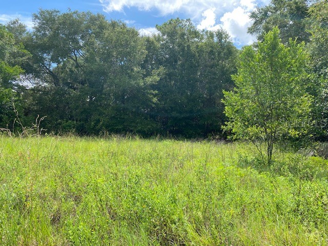 N.Center Street Pierson FL 32180 O6051216 image1