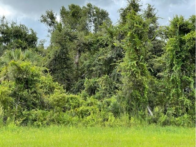 N Chamberlain Boulevard N North Port FL 34286 A4580312 image1