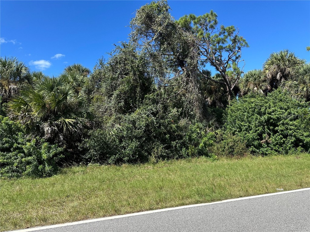 N Chamberlain Boulevard North Port FL 34286 C7516805 image2