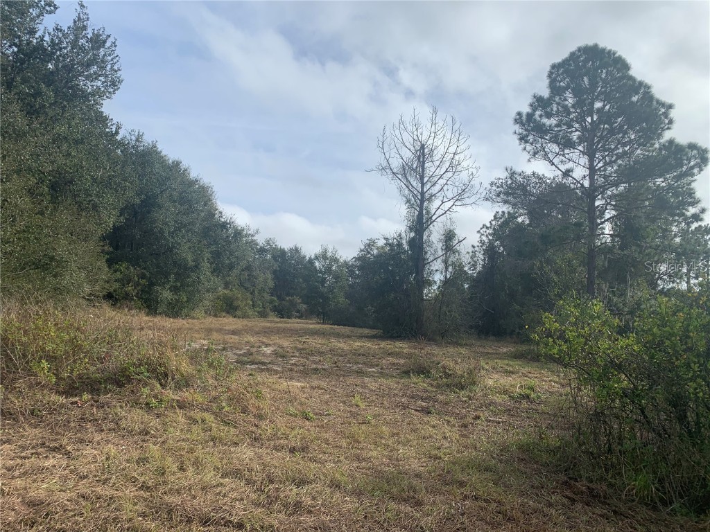 N Cherry Lake Groves Road Groveland FL 34736 O6072810 image1