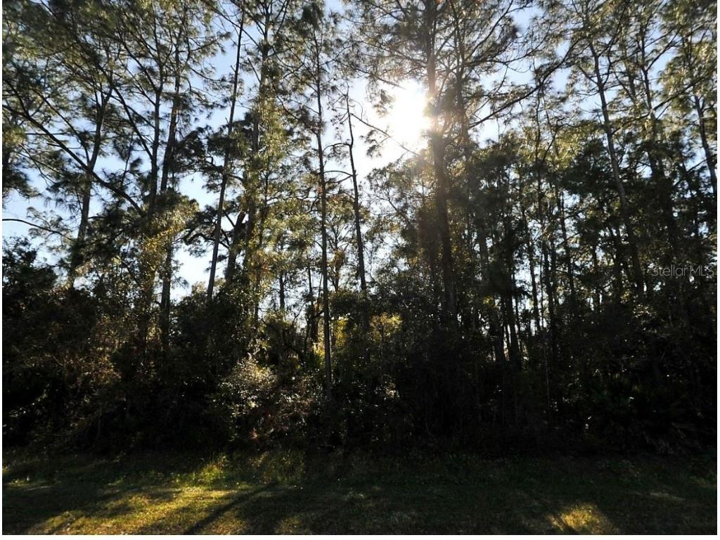 N Cranberry Boulevard North Port FL 34286 C7504479 image3