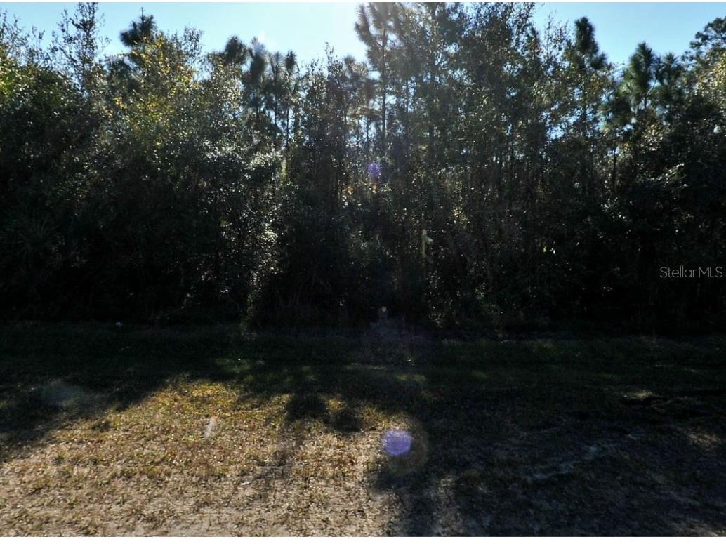 N Cranberry Boulevard North Port FL 34286 C7504527 image3