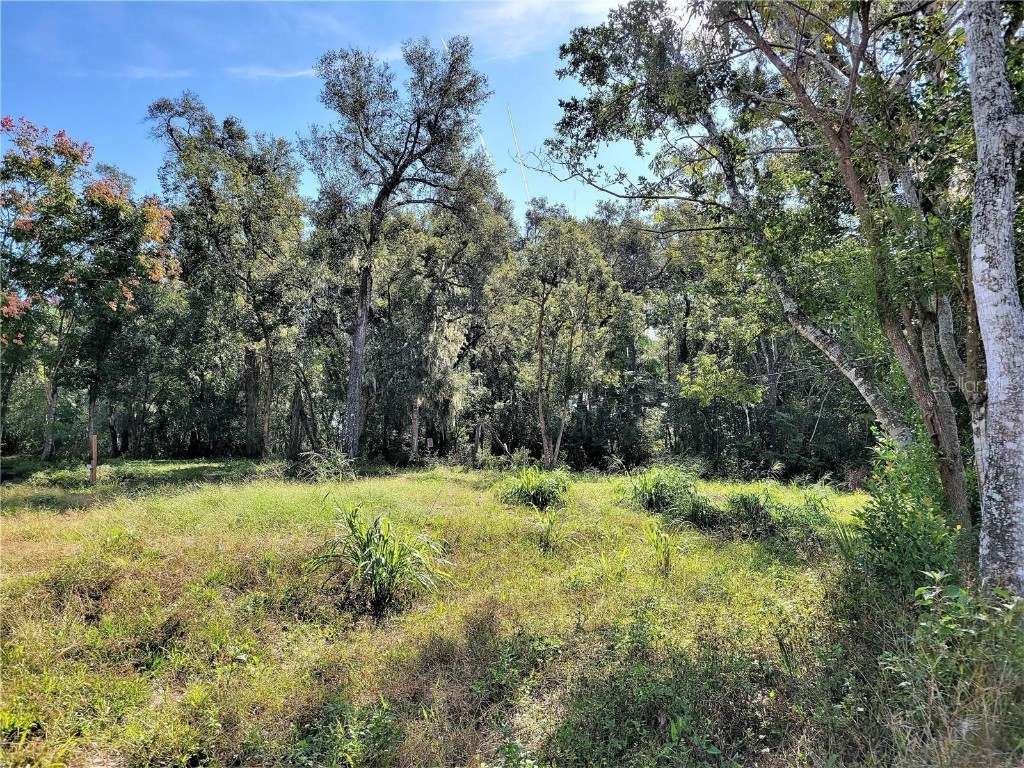 N Florida Ave Deland FL 32720 V4930092 image1