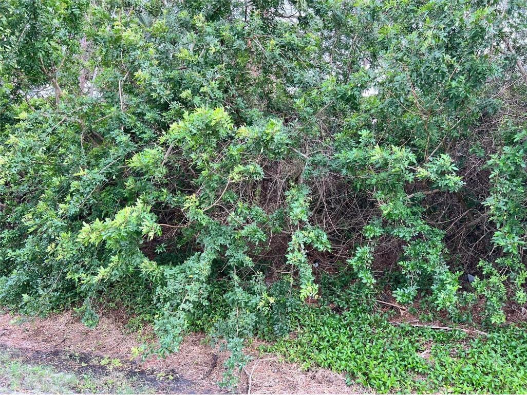 N Florida Avenue Tarpon Springs FL 34689 TB8372174 image2