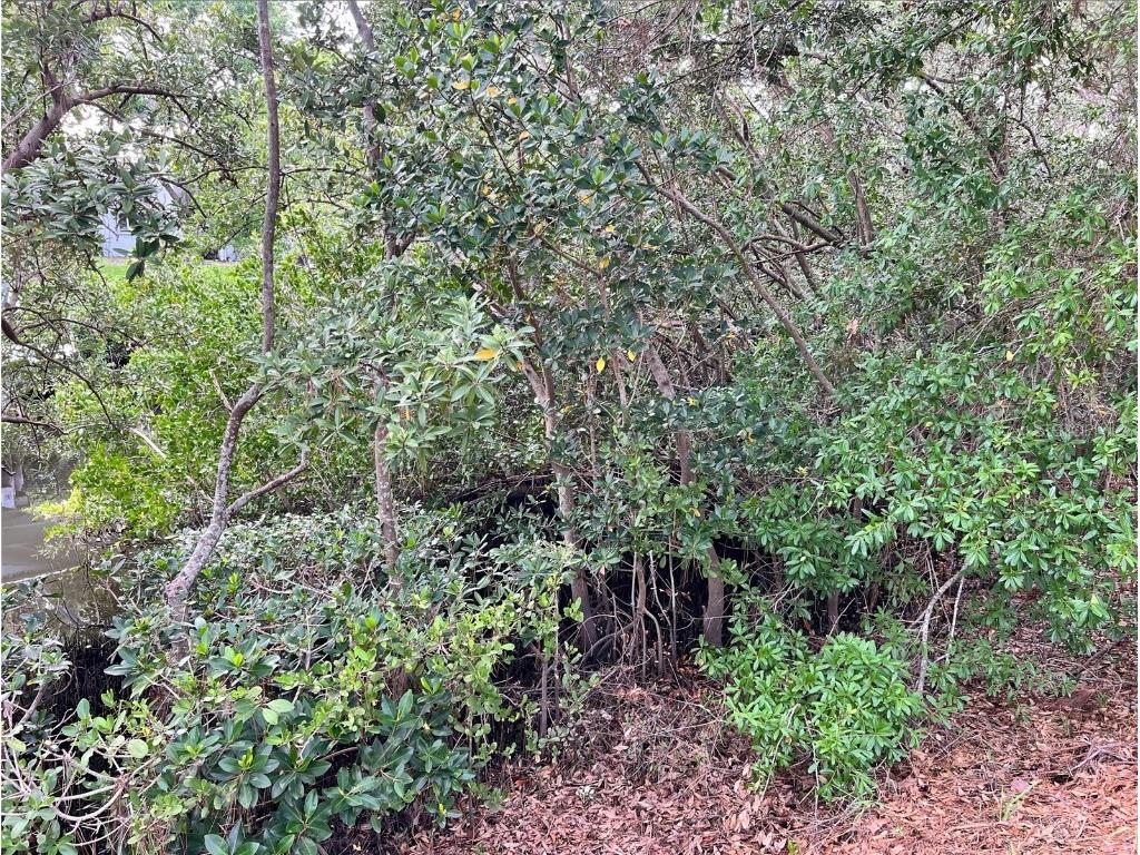 N Florida Avenue Tarpon Springs FL 34689 TB8372174 image3