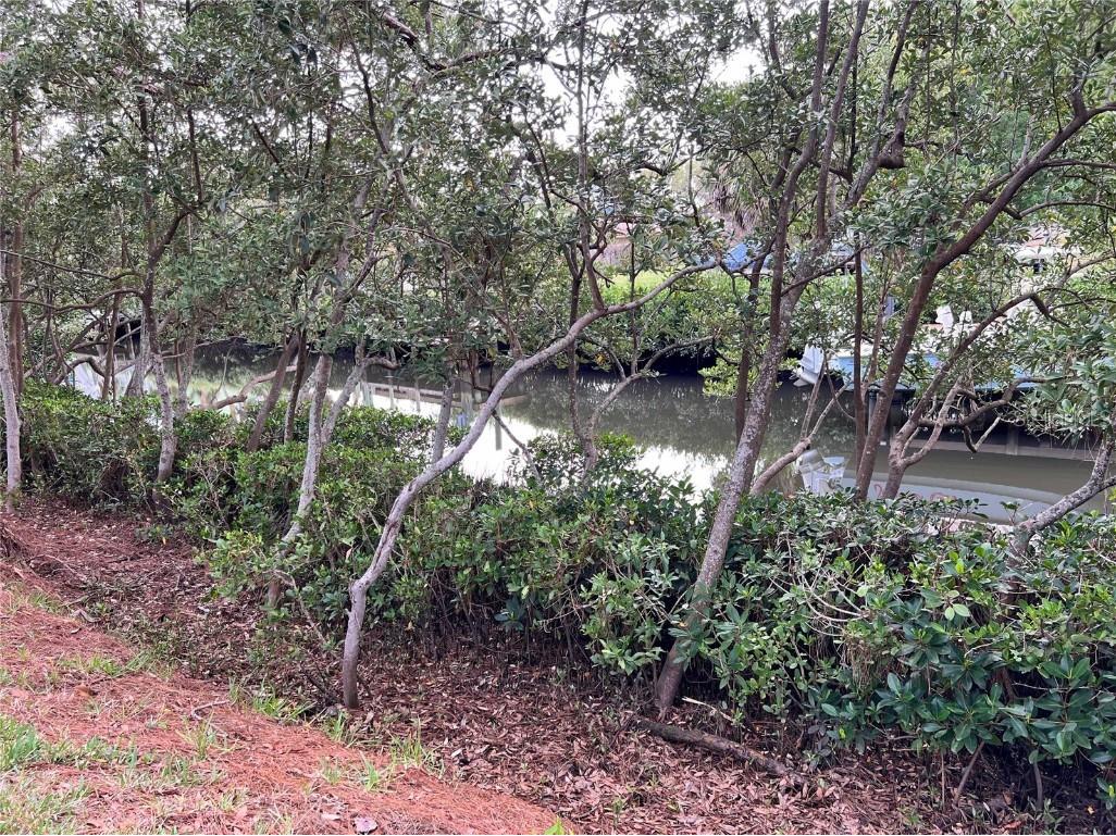 N Florida Avenue Tarpon Springs FL 34689 TB8372174 image5