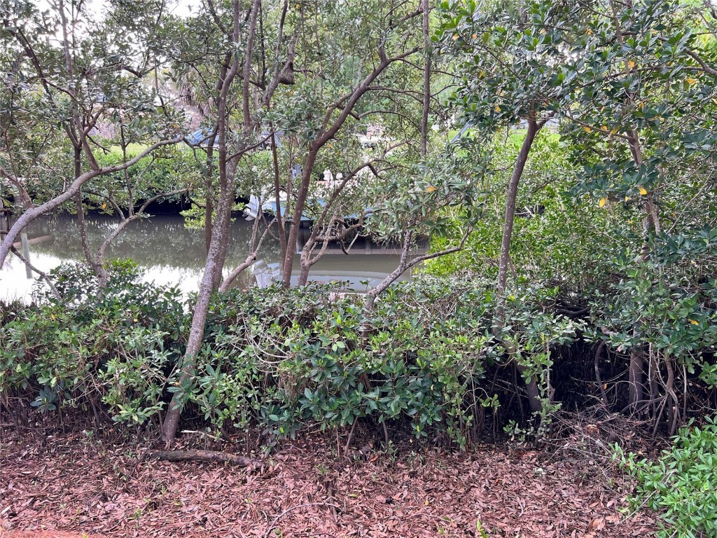 N Florida Avenue Tarpon Springs FL 34689 TB8372174 image6