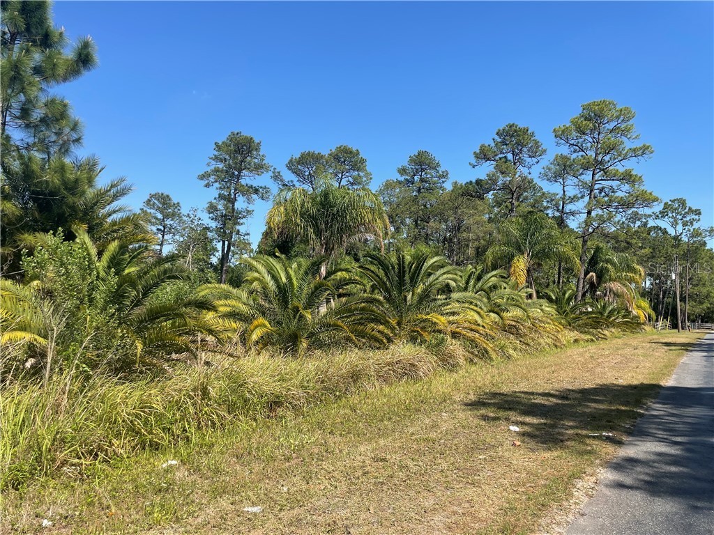 N Goodman Road, Kissimmee, FL, 34747 MLS O5936353 Edina Realty