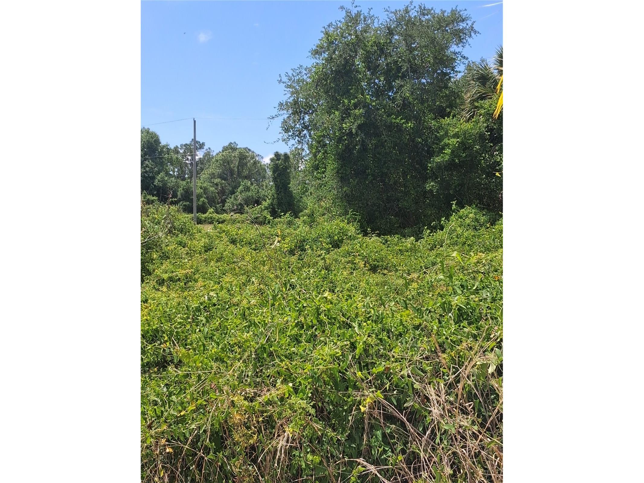 N Holloway Avenue North Port FL 34288 C7520193 image3