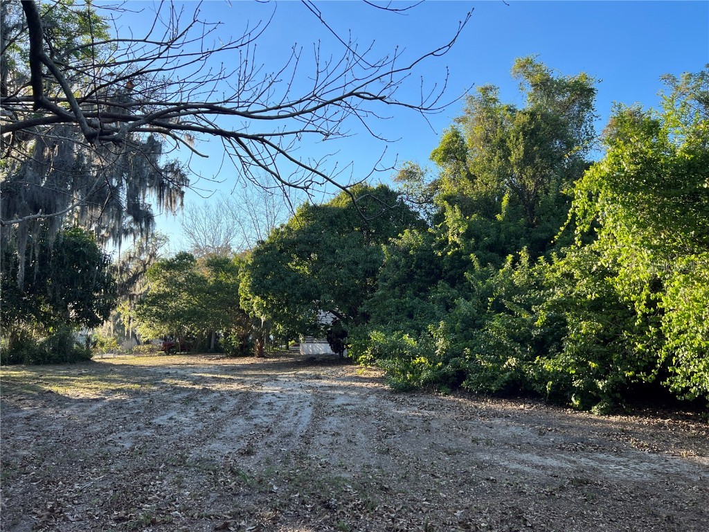 N Mayo Street Crystal Beach FL 34681 U8193809 image10