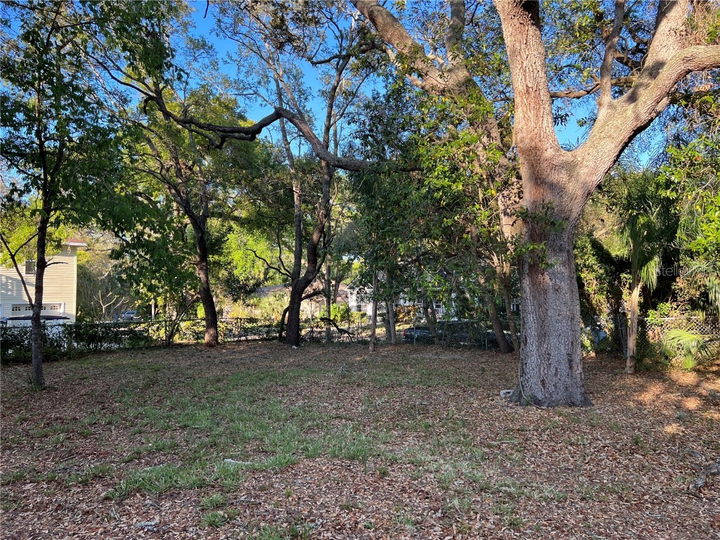 N Mayo Street Crystal Beach FL 34681 U8193809 image11