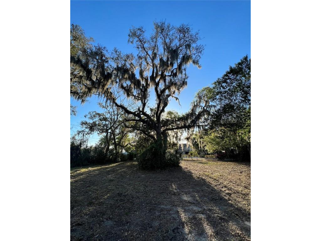 N Mayo Street Crystal Beach FL 34681 U8193809 image14