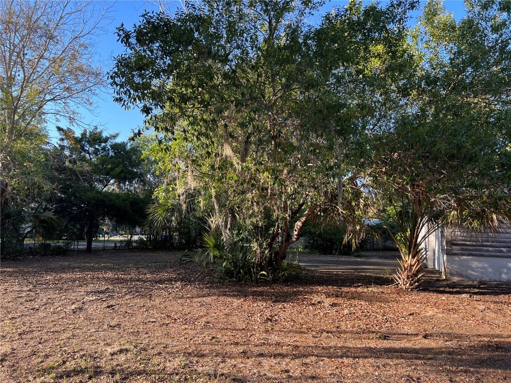 N Mayo Street Crystal Beach FL 34681 U8193809 image3