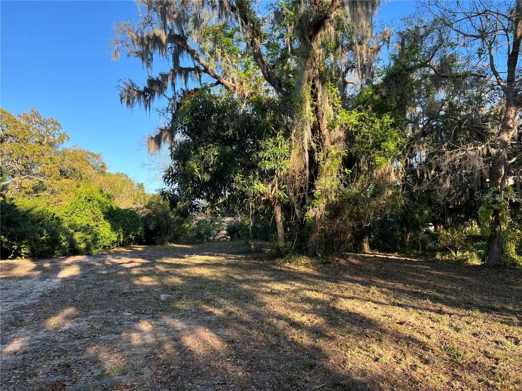 N Mayo Street Crystal Beach FL 34681 U8193809 image4