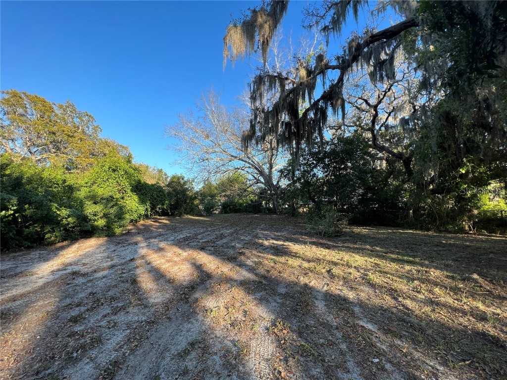 N Mayo Street Crystal Beach FL 34681 U8193809 image5