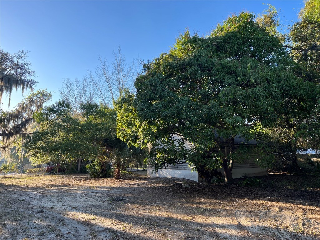 N Mayo Street Crystal Beach FL 34681 U8193809 image6