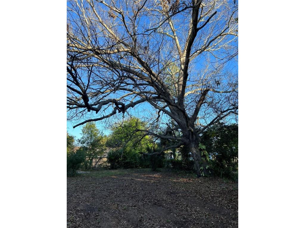 N Mayo Street Crystal Beach FL 34681 U8193809 image7