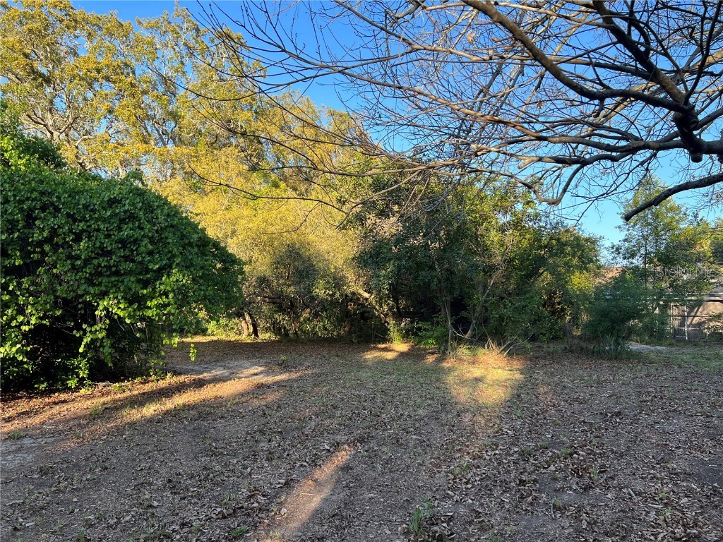 N Mayo Street Crystal Beach FL 34681 U8193809 image8