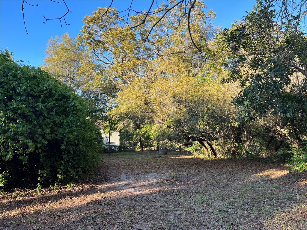 N Mayo Street Crystal Beach FL 34681 U8193809 image9