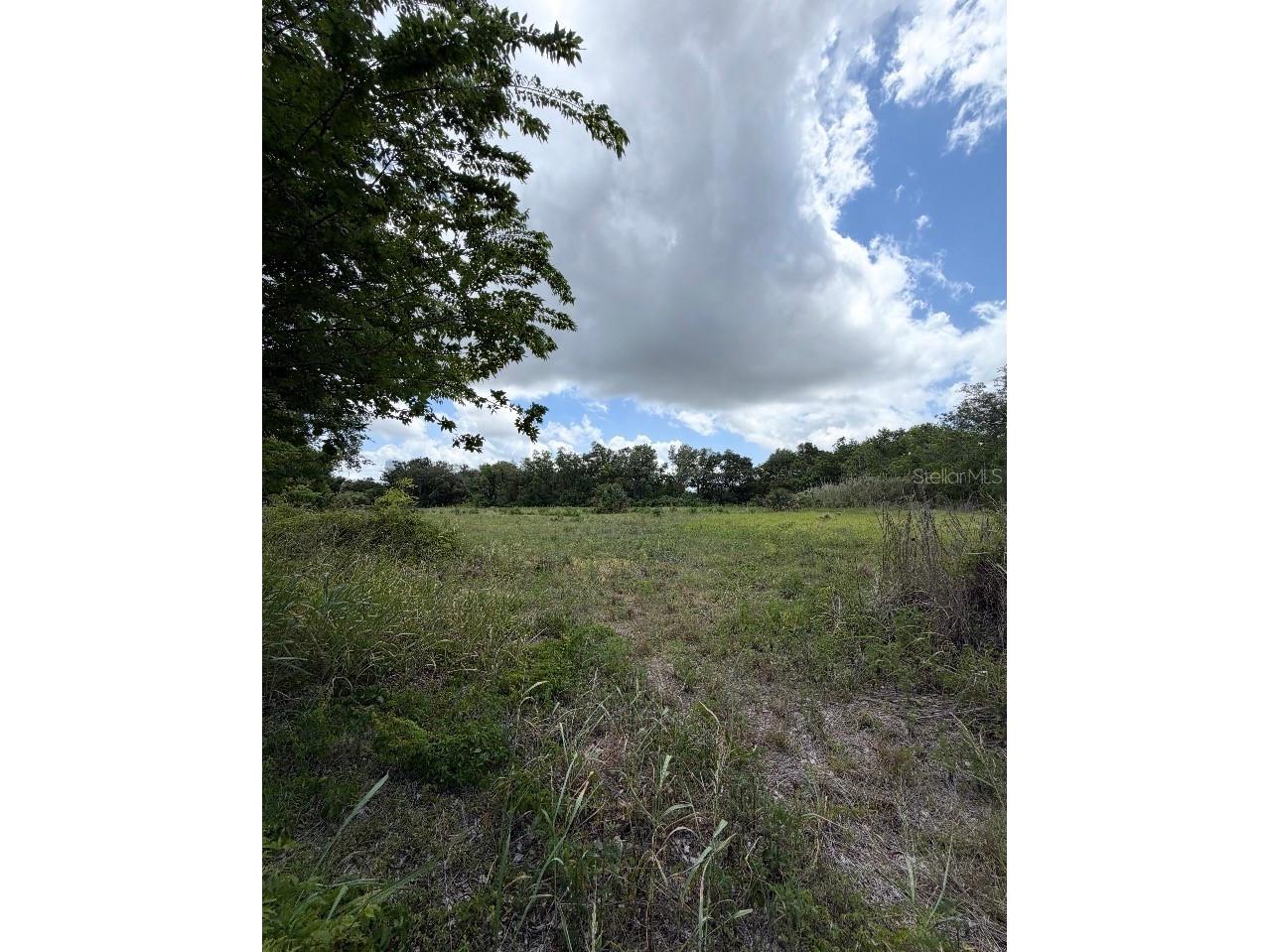 N Oakland Street Leesburg FL 34748 G5111668 image3