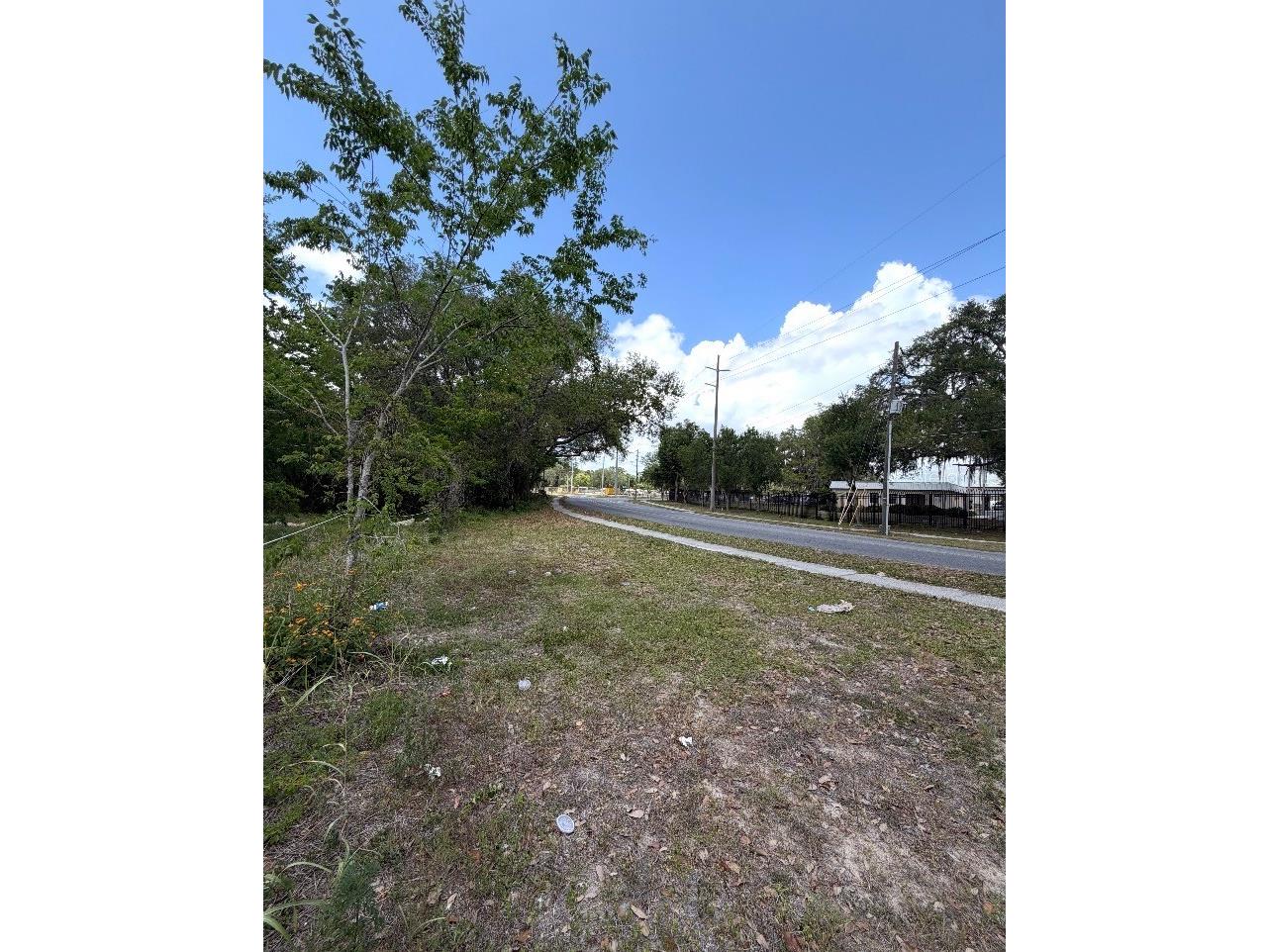 N Oakland Street Leesburg FL 34748 G5111668 image4