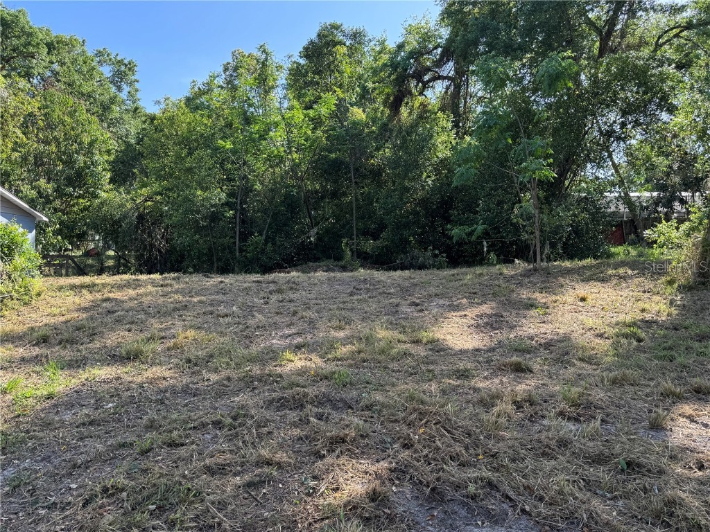 N Palm Circle Eustis FL 32726 G5095339 image1
