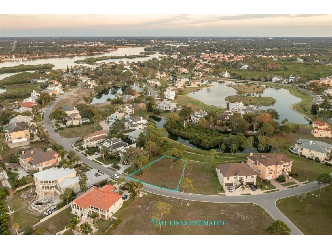 N Pointe Alexis Drive Tarpon Springs FL 34689 U8225736 image1