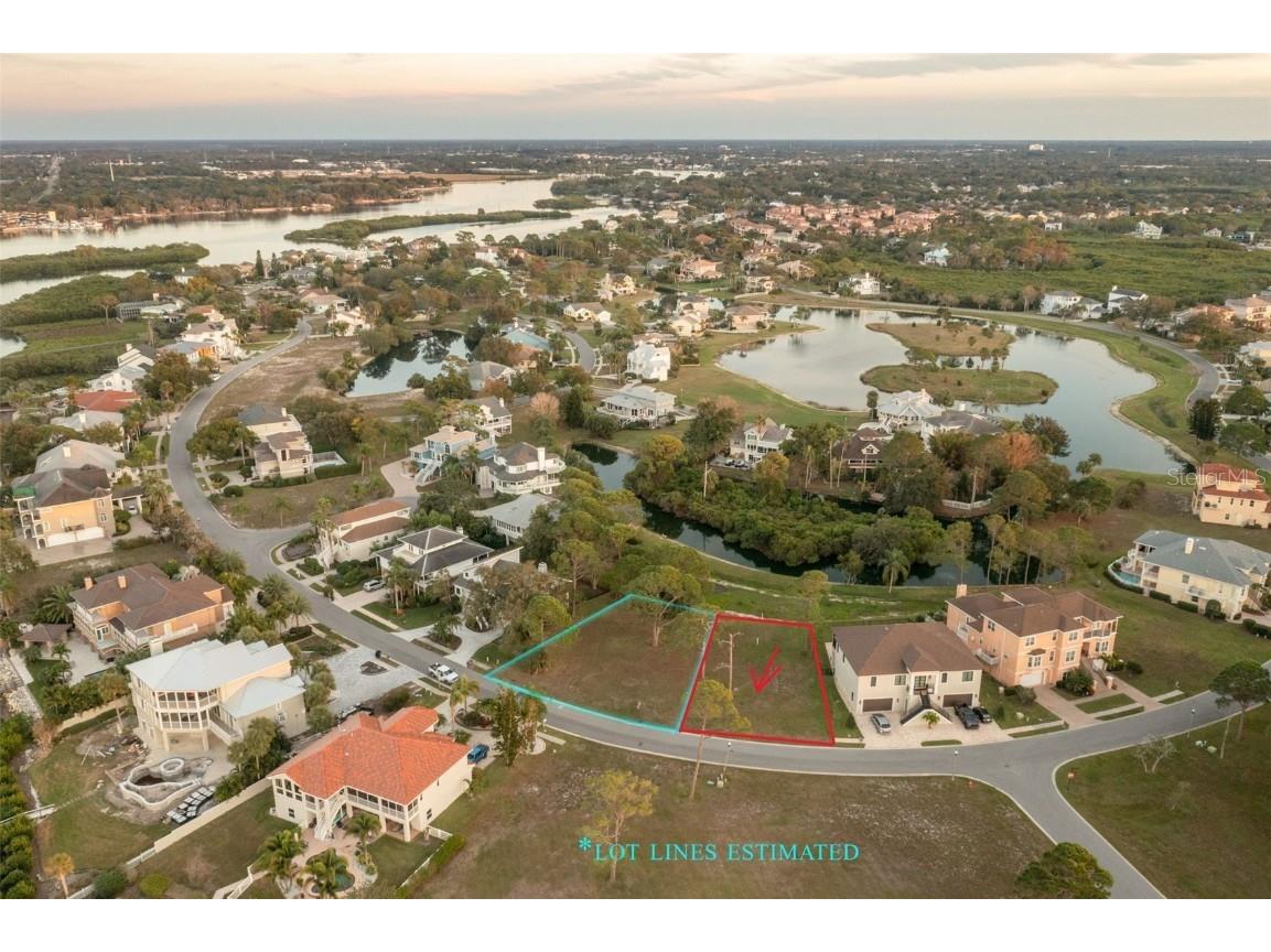 N Pointe Alexis Drive Tarpon Springs FL 34689 U8225749 image1