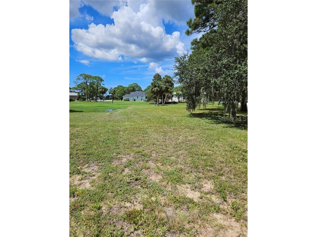 N Pointe Alexis Drive Tarpon Springs FL 34689 TB8301023 image3