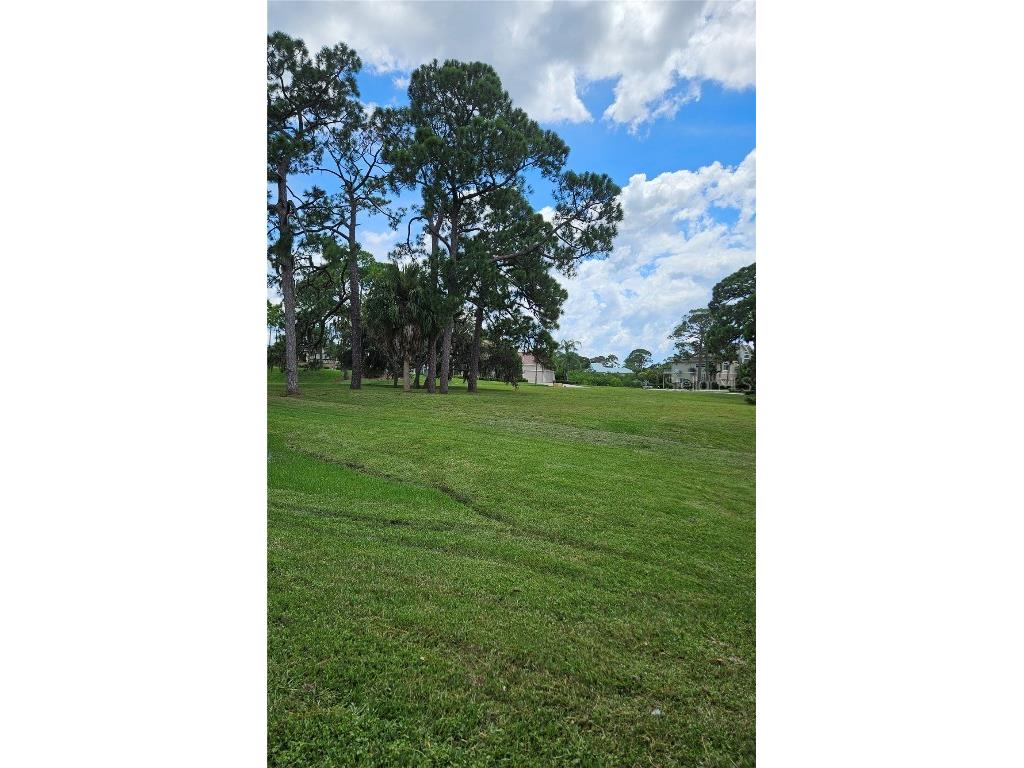 N Pointe Alexis Drive Tarpon Springs FL 34689 TB8301023 image6